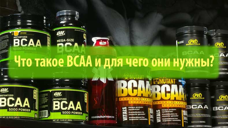 Всаа что это такое и для чего. Что такое ВСАА И для чего они нужны. BCAA для чего он нужен. БЦАА для чего. Для чего нужен ВСАА.